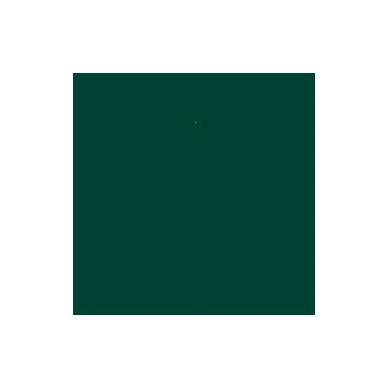 Aérosol 400ml Peinture De Finition Brillant Vert Mousse COMUS - Vert – Image 2